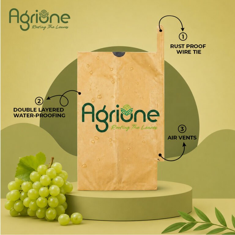Grapes Protection paper Bag 1
