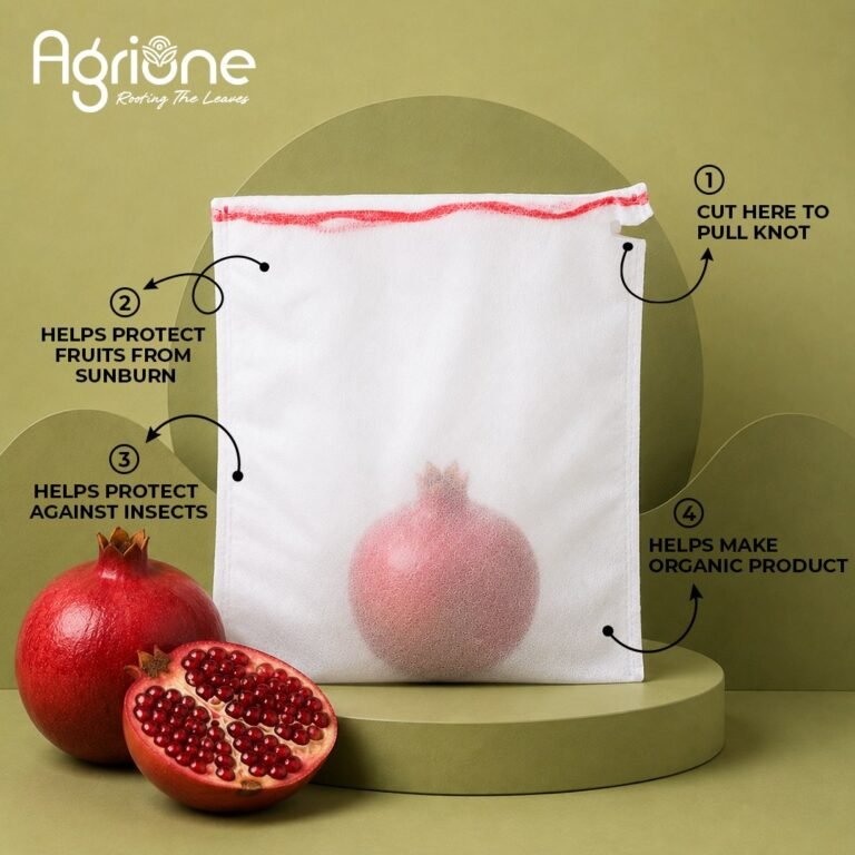 Pomogranate Fruit cover bag Nonwoven-2
