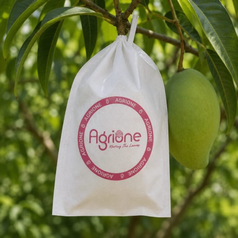 mango-nonwowen