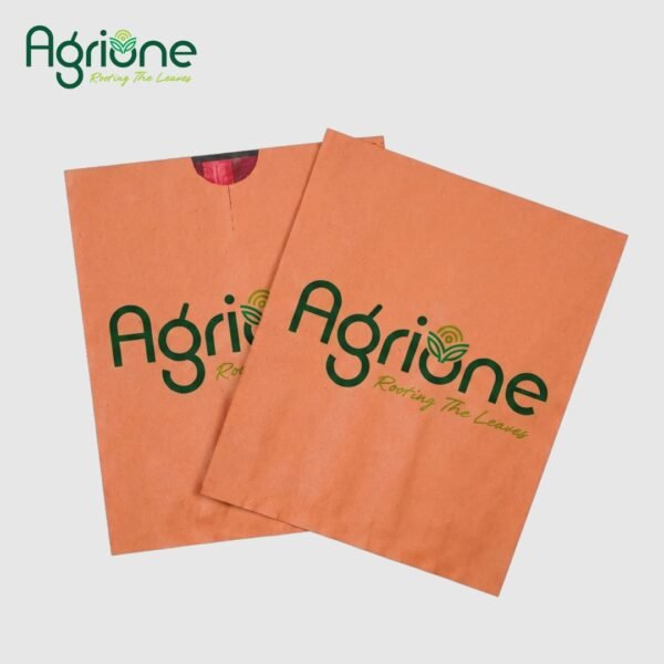 Apple Cover Paper Bag