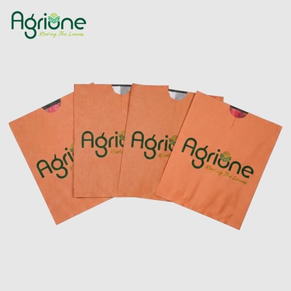 Apple Cover Paper Bag