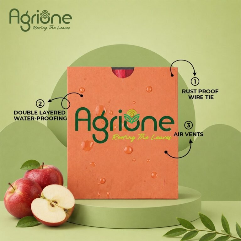 Apple-cover paper bag-3