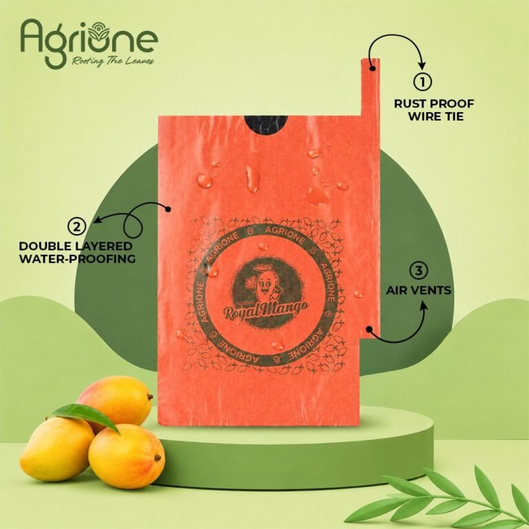 Mango Cover Paper Bag-1